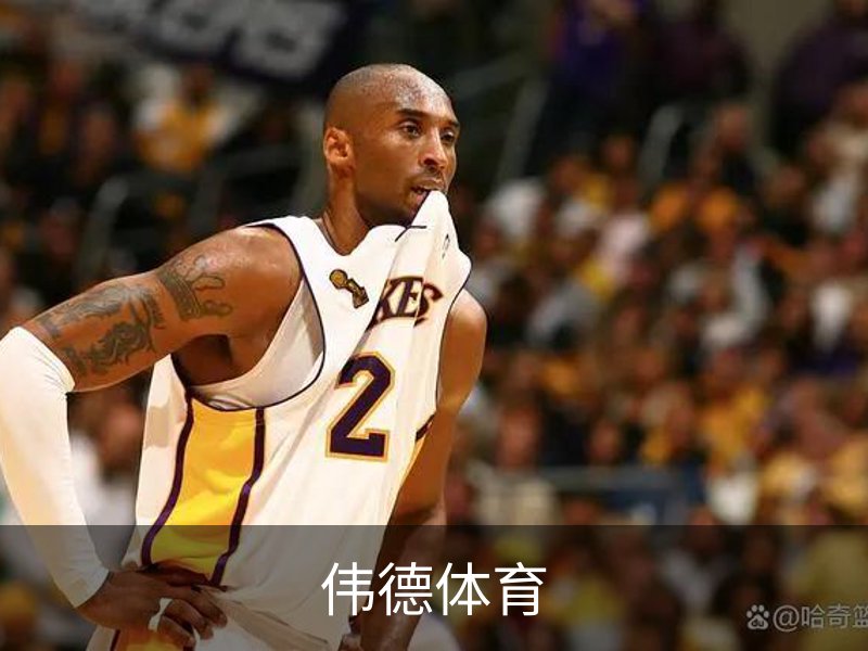 企业简介